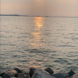 Meet your Posher, Rose